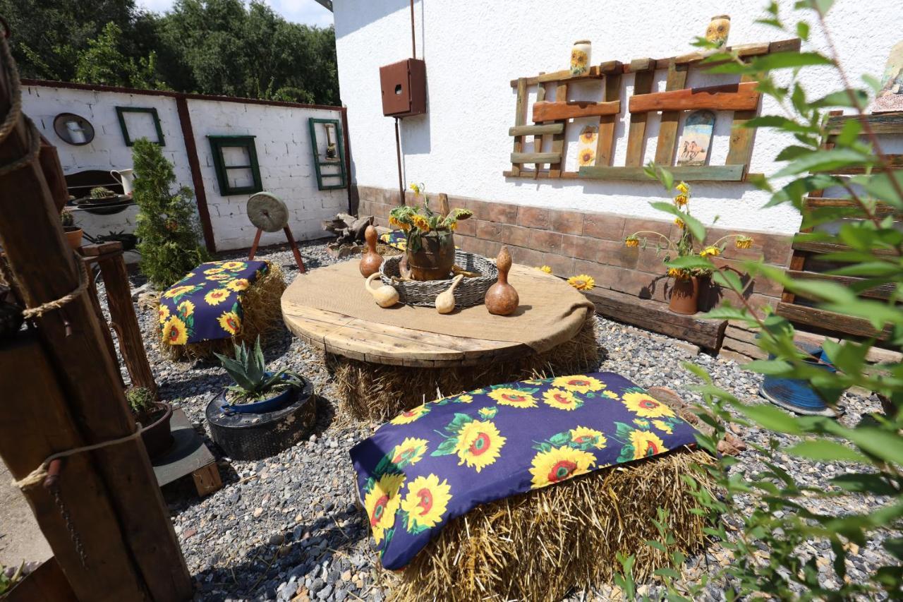Etno Kuca Teodora Bed & Breakfast Stajicevo Dış mekan fotoğraf