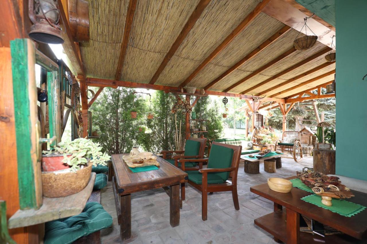 Etno Kuca Teodora Bed & Breakfast Stajicevo Dış mekan fotoğraf