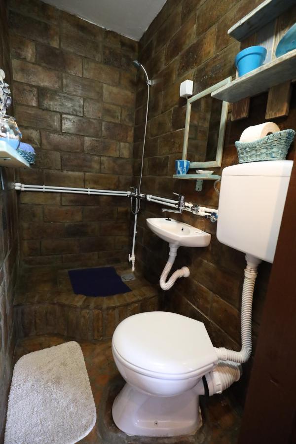 Etno Kuca Teodora Bed & Breakfast Stajicevo Dış mekan fotoğraf